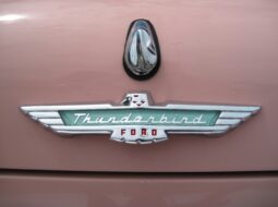 The Heart of a True Automotive Enthusiast